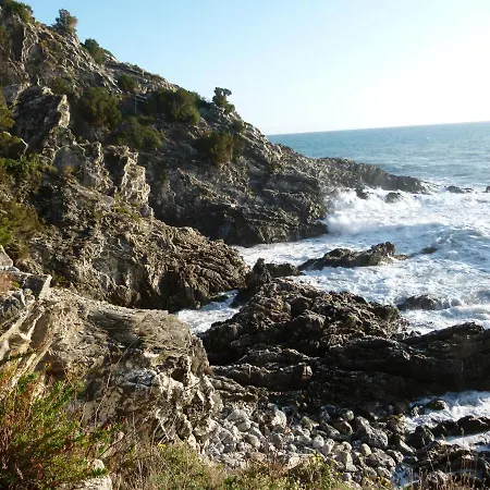 Alma Cilento